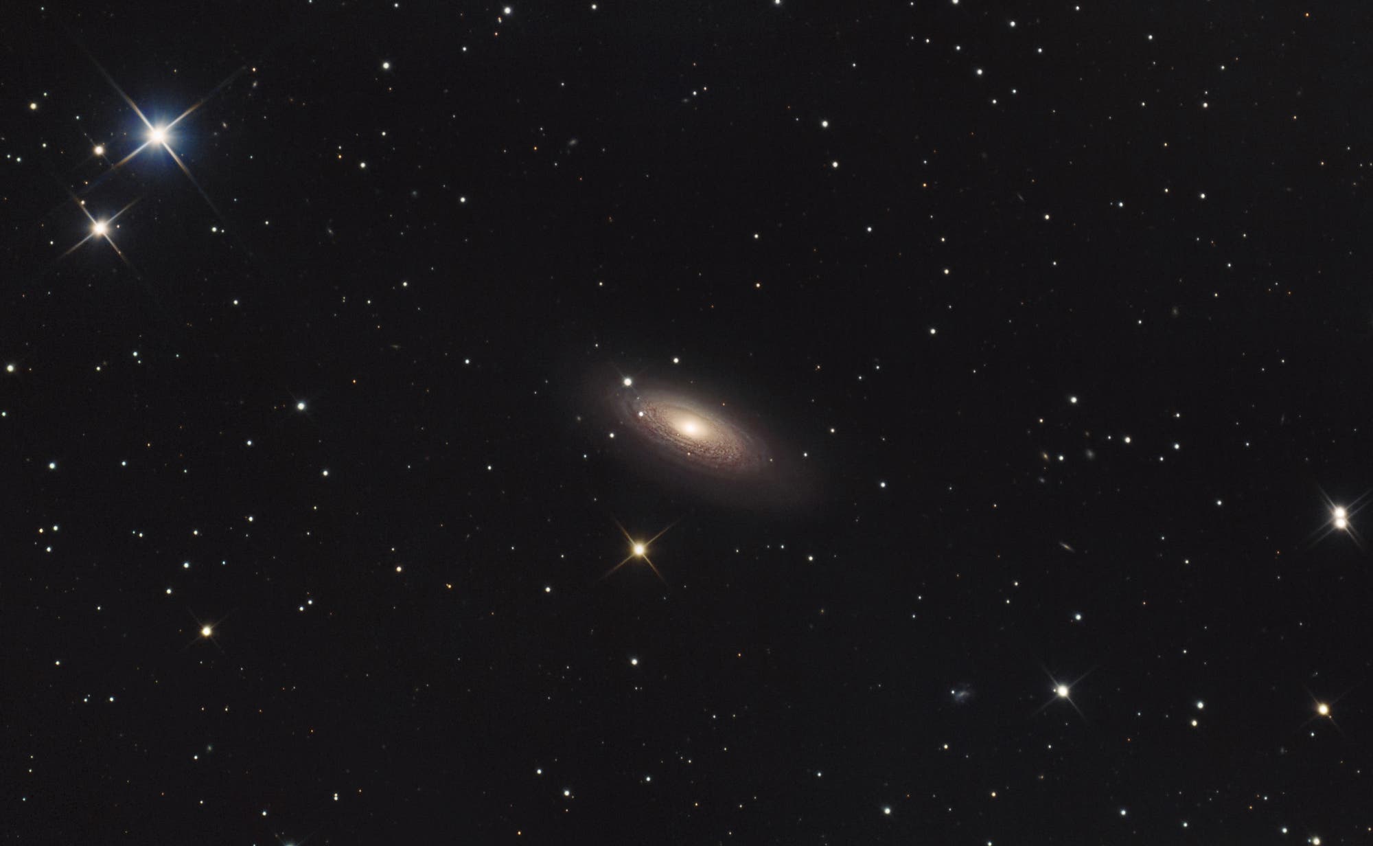 NGC 2841 Spektrum der Wissenschaft